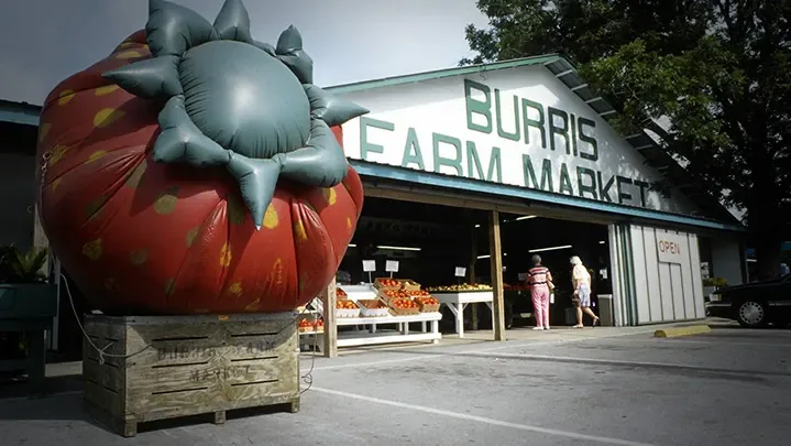 Burris Farm Market produce stand and landmark giant strawberry in Loxley, AL
