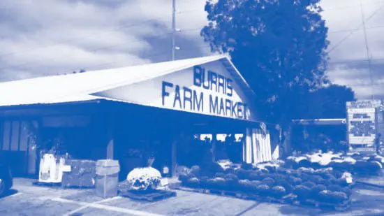 AC repair in Loxley, AL - Burris Farm Market | Climate Masters